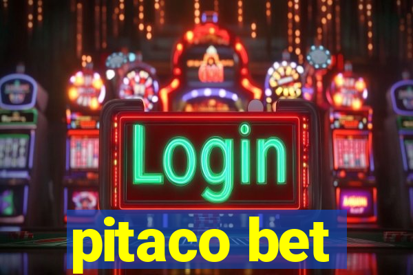 pitaco bet